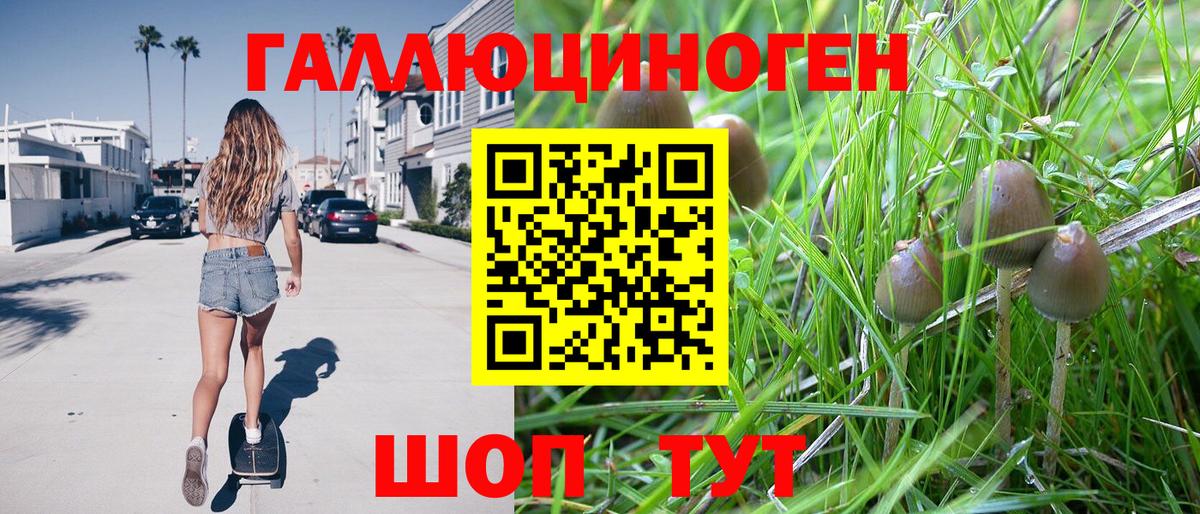 где продают   Галлюциногенные грибы GOLDEN TEACHER  Вход с VPN  Арсеньев 