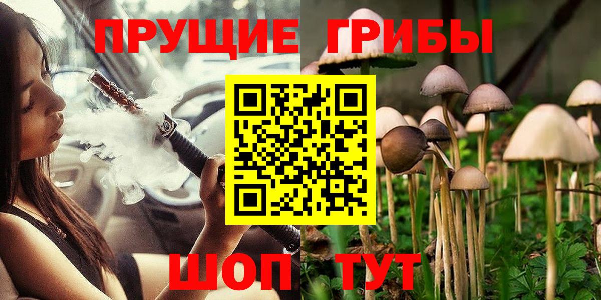 Псилоцибиновые грибы мухоморы Арсеньев